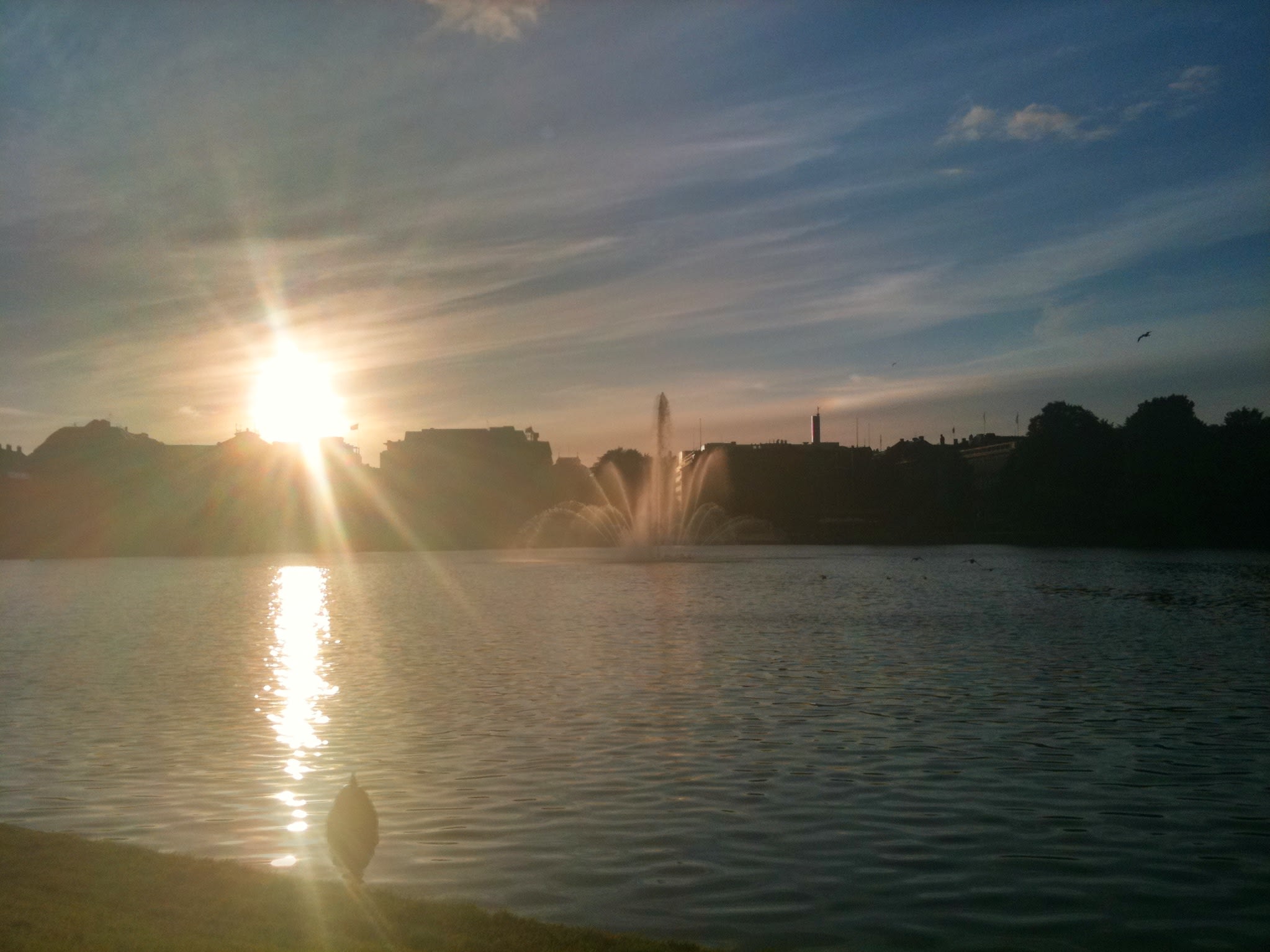 Skywatch Friday – City sunset|Skywatch fredag – Bysolnedgang